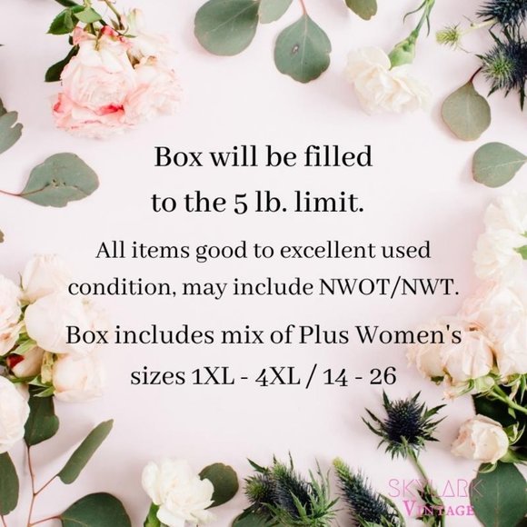 RESELLERS Women's Plus Size Mystery Box! - Picture 2 of 3